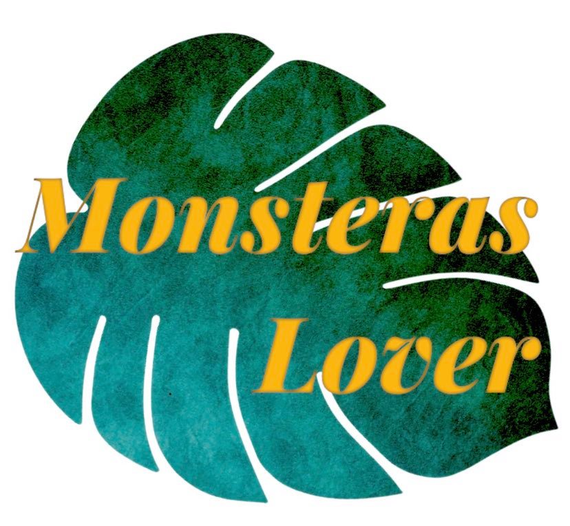 Monsteras Lover